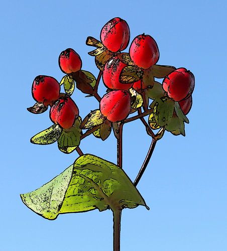 Red berries against a blue sky