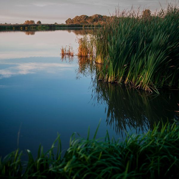 Herfstlicht in Friesland van Rene  den Engelsman
