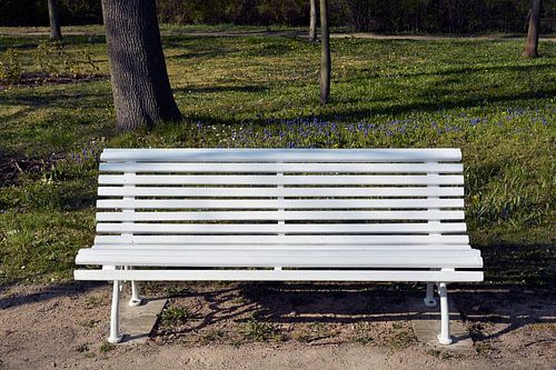 witte houten bank bij een wandelpad