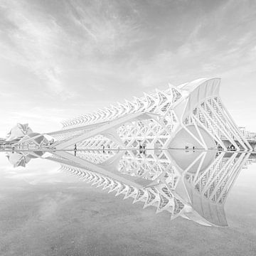 Perfecte reflectie van Jose Gieskes