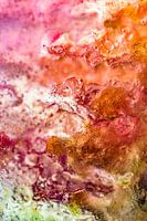 Kleurrijke Abstracte Foto | Roze, oranje en groen