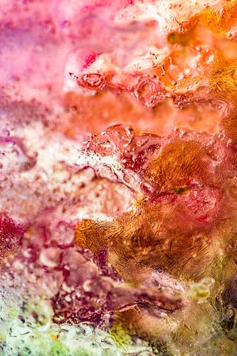 Buntes abstraktes Foto | Rosa, orange und grün