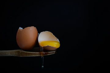 Gebroken eieren van Tjitske de Roos
