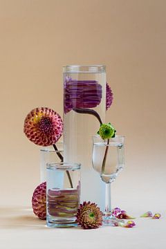 Bloemen achter het glas | Digitale fotografie van Natalia Balanina