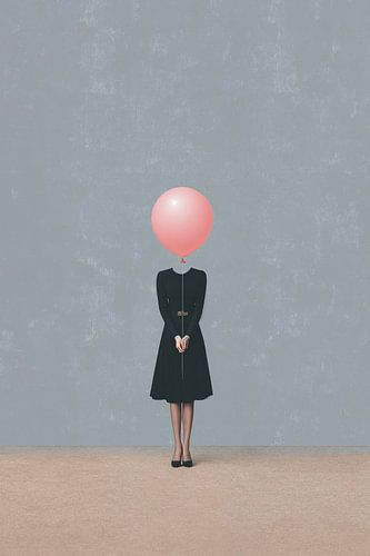 Verborgen Identiteit no.2