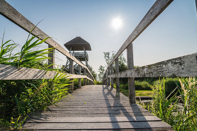 The bridge to the lookout tower by Tina Linssen