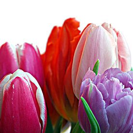 Een bos tulpen in natuurlijk licht van Jeroen Jonker