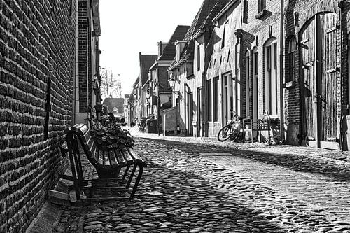 The bench in the street