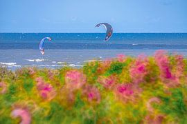 North Sea with Flowers