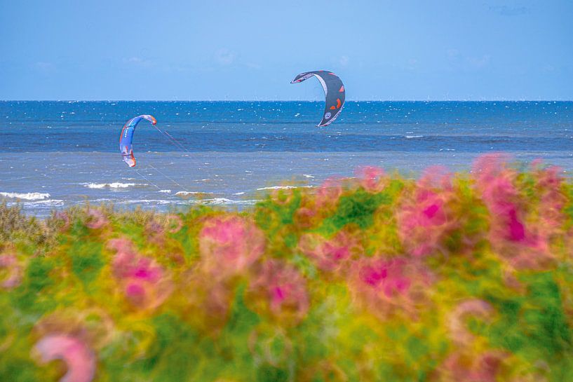 Mer du Nord avec fleurs par Yanuschka | Fotografie Noordwijk