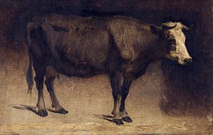 Kuh, André Plumot