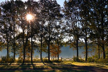Zonnig landschap met een houten hek in de herfs van Frans Rombout