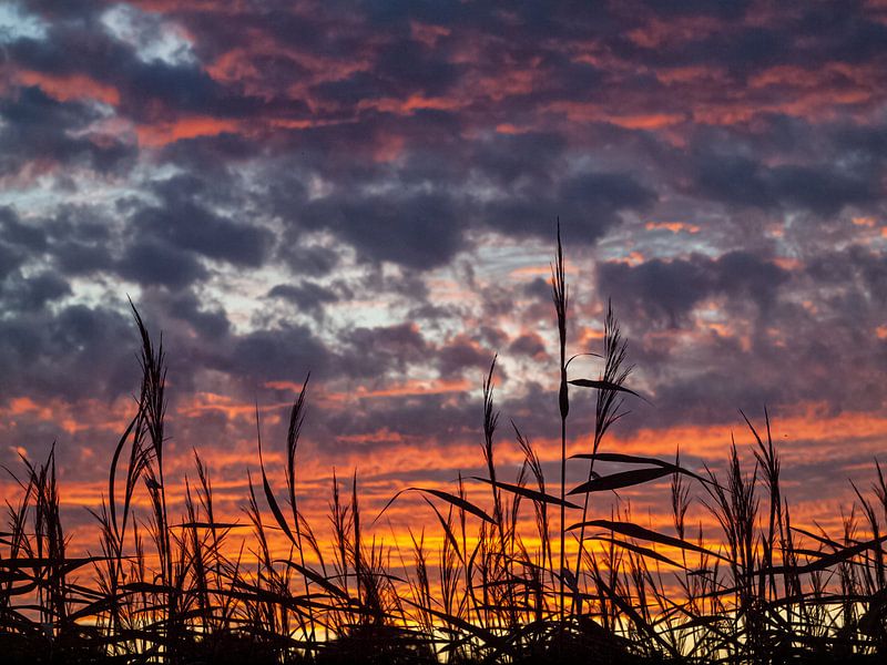Abend in Haarzuilens von Mr White Takes Pictures
