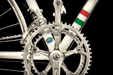 The vintage Campagnolo road bike by Martin Bergsma
