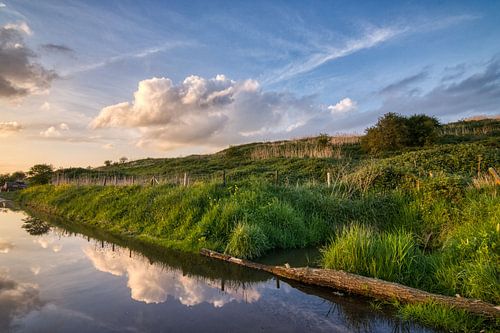 Weerspiegeling Buytenpark