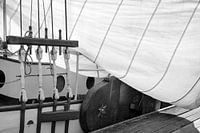 Sail of a Sailing Vessel. Urban.