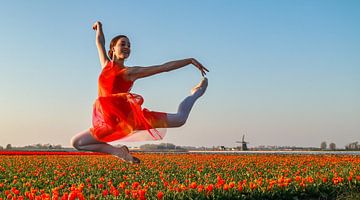 Ballerina springt in het veld by peterheinspictures