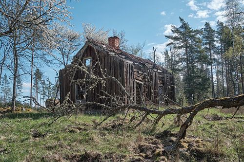Dilapidated Swedish house