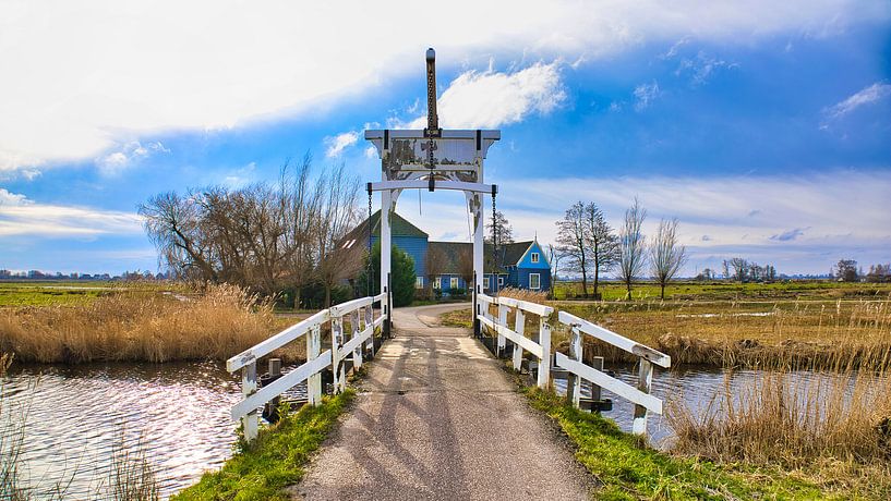 Picturesque Waterland by Harry Hadders Design