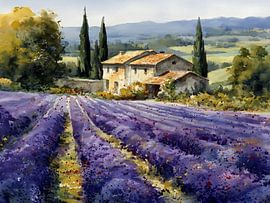 Tuscan lavender fields by Tom Vermeersch