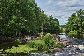 Fleuve suédois 215 sur Geertjan Plooijer