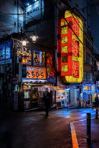 Neon lights and nightlife on the streets of Tokyo