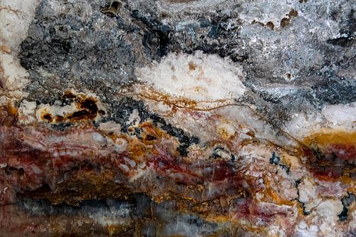 Holz aus Stein