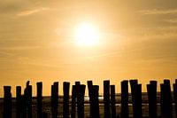 zonsondergang strandpalen