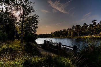 Van Esschenven - Oisterwijk