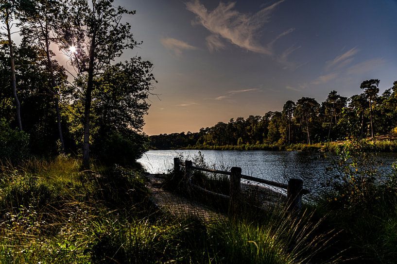 Van Esschenven - Oisterwijk by Ingrid Honders
