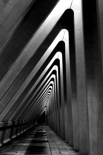 Architectuur - lijnenspel in zwart wit - hoog