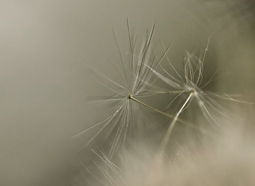 Fusseln und Tröpfchen