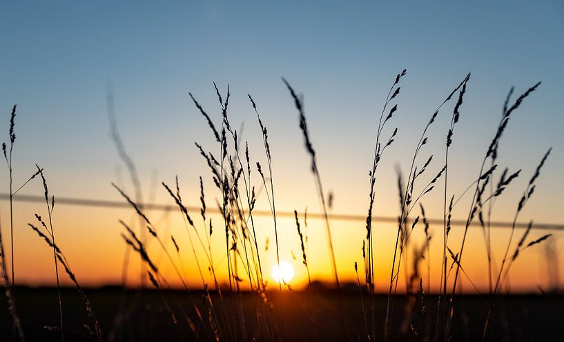 Avondlicht op Walcheren 7 by Percy's fotografie