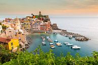 Cinque Terre in the water by Damien Franscoise thumbnail