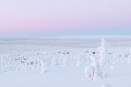 Views over wooden cottages | travel photography print | Saariselkä Lapland Finland by Kimberley Jekel | reisfotografie prints