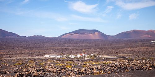 Vulkaanlandschap op Lanzarote