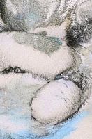 RequiesCAT in Pace: Sleepy