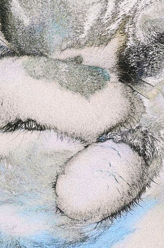 RequiesCAT in Pace: Sleepy