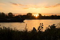 Spätsommer am Rhein