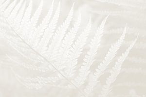 Botanisch bladeren Cloud Dancer