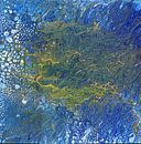Seashore Sonata by Dorothy Berry-Lound thumbnail