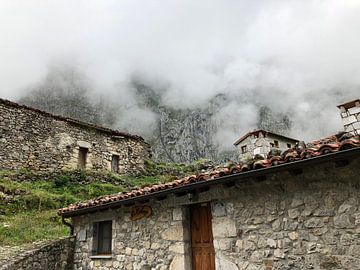 Mountain houses