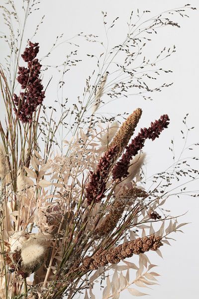Dried_001 par Pictufy Studio III