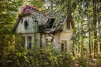 heksenhuis in het bos