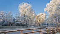 Winter tafereel