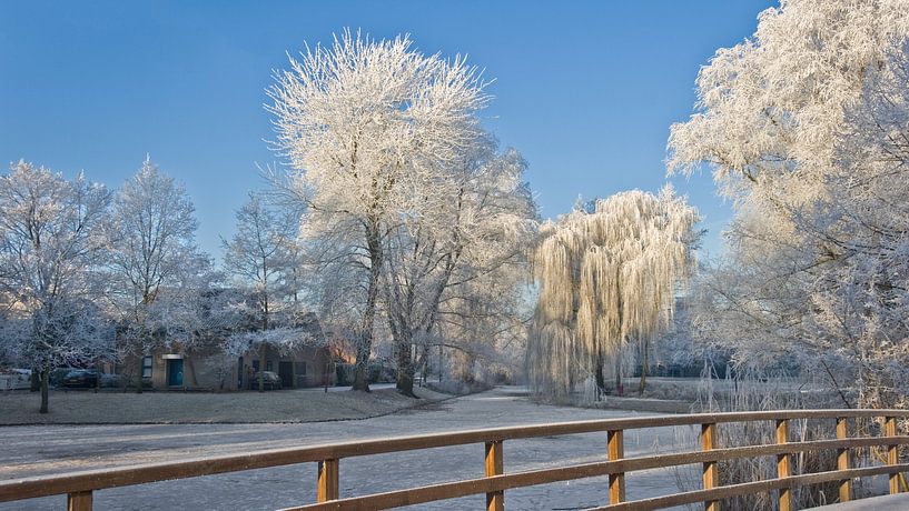 Winter tafereel by Rob Hartsink