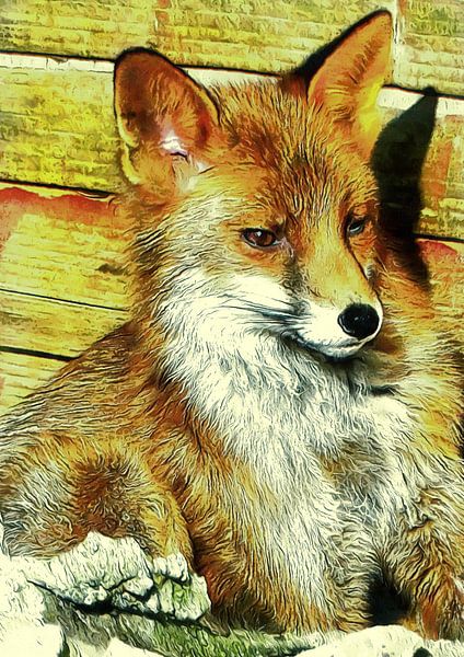 Portrait Of An Urban Fox by Dorothy Berry-Lound