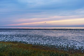 De Waddenzee bij laagwater vlak voor zonsondergang. van Jaap van den Berg