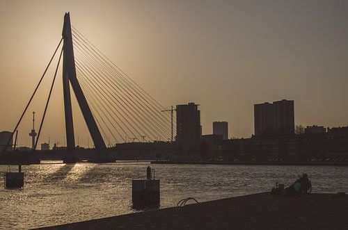 Silhouette van Erasmusbrug