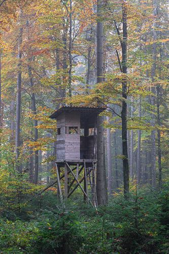 Hunting stand in forest in autumn fog in south Germany